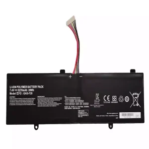 Laptop akku für GAS-F20
